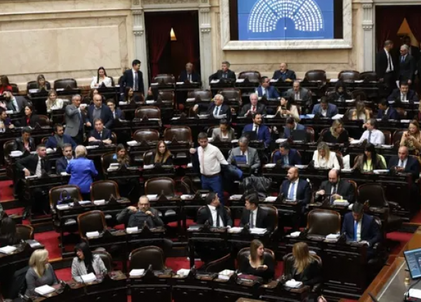 Martín Menem presidiendo debate por Ley Bases