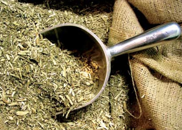 Yerba Mate