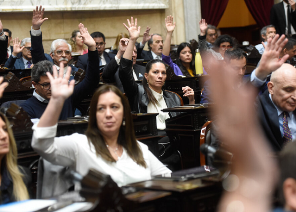 Oficialismo votando a mano alzada en el Congreso