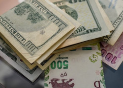 Dólares y pesos
